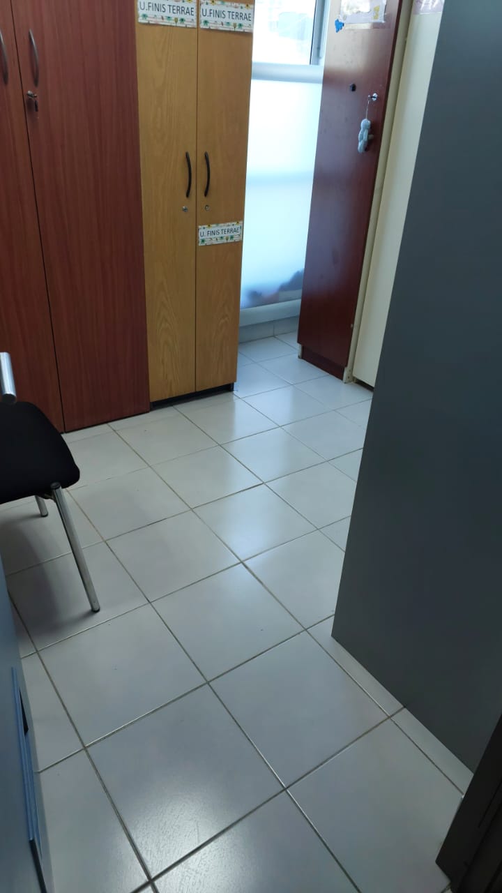 Limpieza profunda